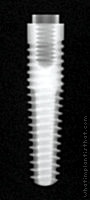 Radiograph of External Hex MSc (Tapered)