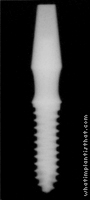 Radiograph of Osstem MS
