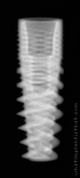 Radiograph of Naturactis