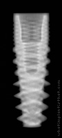 Radiograph of Naturactis