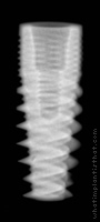 Radiograph of Naturactis