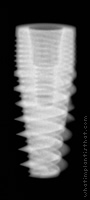 Radiograph of Naturactis