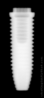 Radiograph of NobelSpeedy Groovy RP