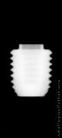 Radiograph of NobelSpeedy Shorty WP