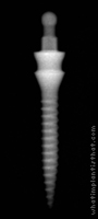 Radiograph of Lew O-Ball MDI (collared)
