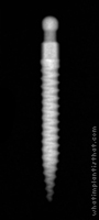 Radiograph of Lew O-Ball MDI (non-collared)