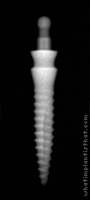 Radiograph of Lew O-Ball MDI (collared)