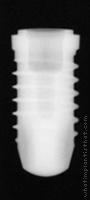 Radiograph of SPI Element