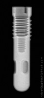 Radiograph of Screw-Cylinder