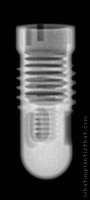 Radiograph of Screw-Cylinder