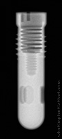 Radiograph of Screw-Cylinder