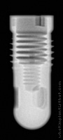 Radiograph of Screw-Cylinder