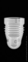 Radiograph of Screw-Cylinder