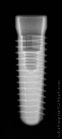 Radiograph of Conelog Screw-Line
