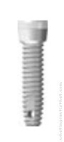Radiograph of Skinny