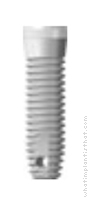 Radiograph of Small