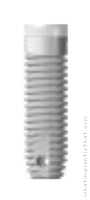 Radiograph of Standard