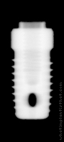 Radiograph of Steri-Oss Hex THD