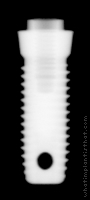 Radiograph of Steri-Oss Hex THD