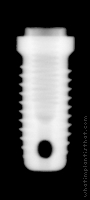 Radiograph of Steri-Oss Hex THD