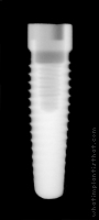 Radiograph of Steri-Oss Replace Select