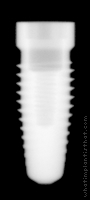 Radiograph of Steri-Oss Replace Select