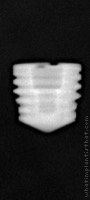 Radiograph of Titamax WS Cortical