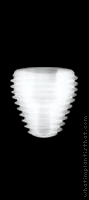 Radiograph of Tri-Nex Tri-MAX