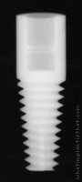 Radiograph of Tapered Root Form