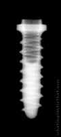 Radiograph of Tixos Cylinder