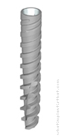 Radiograph of Touareg NP