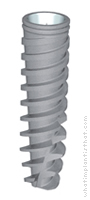 Radiograph of Touareg RP