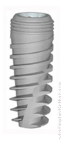 Radiograph of Touareg-S
