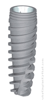 Radiograph of Touareg WP