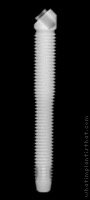 Radiograph of Zigomatico