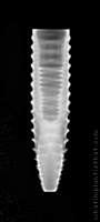 Radiograph of INNO Submerged Narrow
