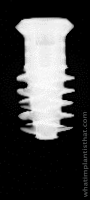 Radiograph of TLX Standard WT