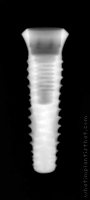 Radiograph of INNO Internal