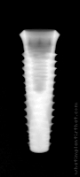 Radiograph of INNO Internal