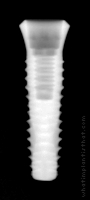 Radiograph of INNO Internal