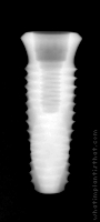 Radiograph of INNO Internal