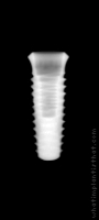 Radiograph of INNO Internal