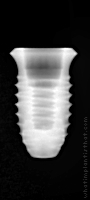 Radiograph of INNO Internal