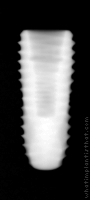 Radiograph of INNO Submerged