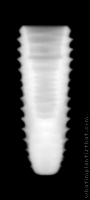 Radiograph of INNO Submerged