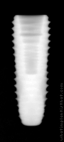 Radiograph of INNO Submerged