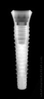 Radiograph of INNO Internal