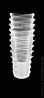 Radiograph of INNO Submerged