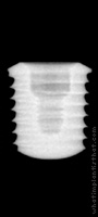 Radiograph of T5 Short