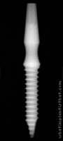 Radiograph of Osstem MS Narrow Ridge 4.0mm G/H